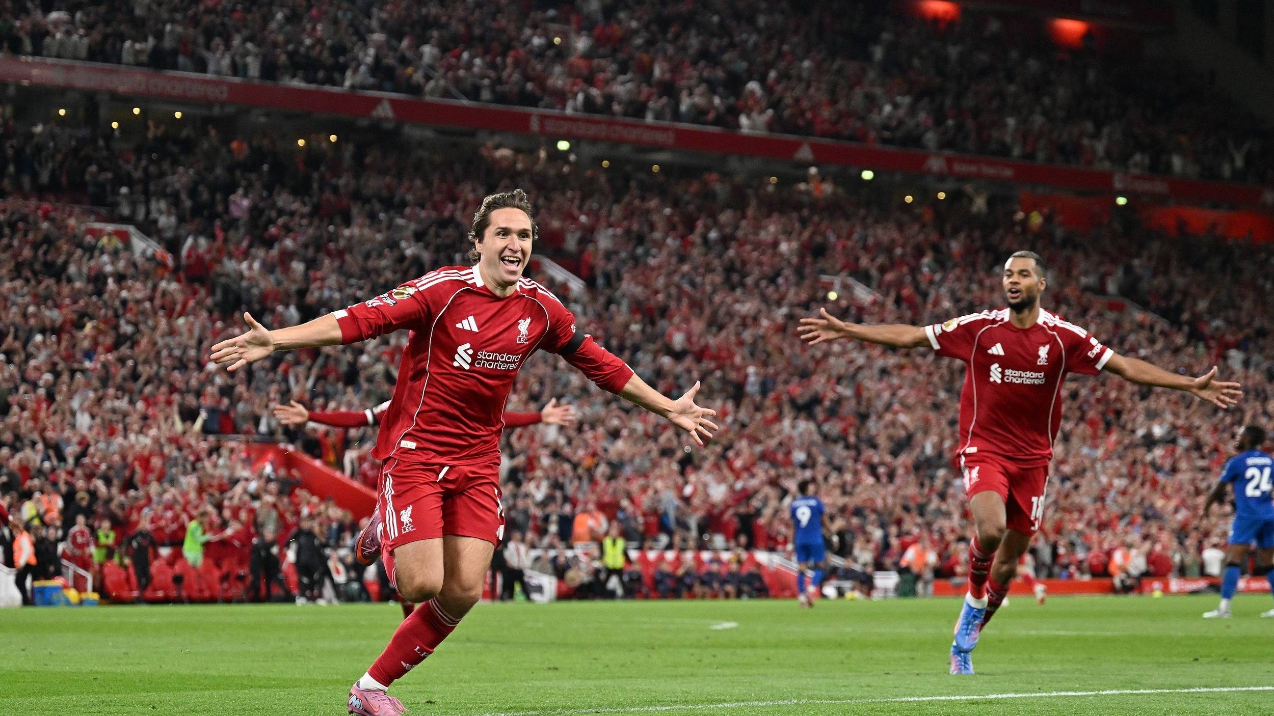 例就是季新 例就是季新